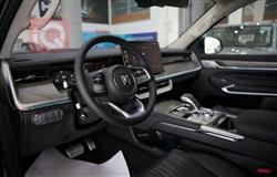 GWM تانك 500